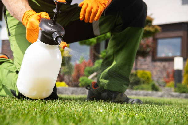 Best Local Pest Control Services  in Merrionette Park, IL
