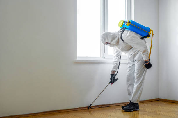 Best Pest Removal Services  in Merrionette Park, IL