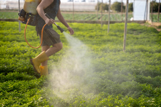 Best Commercial Pest Control Services  in Merrionette Park, IL