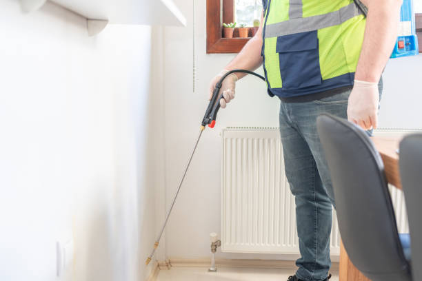 Reliable Merrionette Park, IL Pest Control Solutions