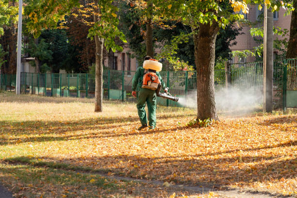 Best Exterminator Services  in Merrionette Park, IL
