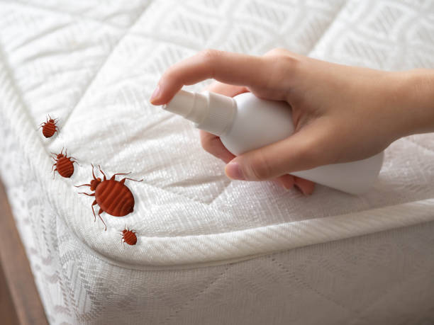 Best Pest Control Near Me in Merrionette Park, IL