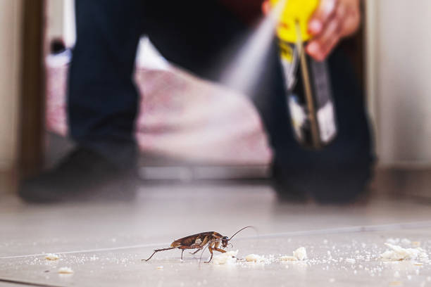 Best Cockroach Control Services  in Merrionette Park, IL