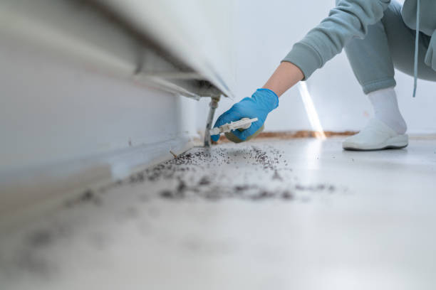 Best Pest Inspection Near Me  in Merrionette Park, IL