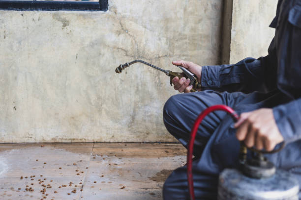 Best Mosquito Control Services  in Merrionette Park, IL