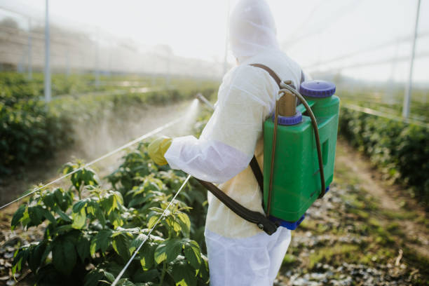 Best Wildlife Control Services  in Merrionette Park, IL